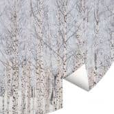 Papier peint photo forêt arbres | forêt de bouleaux en hiver - EMELIEmaria - rond - auto-adhésif/non tissé 