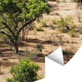 Fototapete Savannenlandschaft in Afrika - Hugonnard - Rund - Selbstklebend/Vlies 