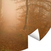 Papier peint brume et lumière dans la forêt d'automne - Maier - rond - papier peint intissé/papier peint intissé autocollant 