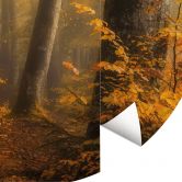 Papier peint photo Feuilles d'or dans la forêt brumeuse - Maier - rond - papier peint intissé/papier peint intissé autocollant 