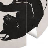 Round wall mural Cats Ying & Yang - Tunaboylu - non self-adhesive/self-adhesive wallpapers 