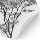 Wandtattoo Minimalistischer Baum in ruhiger Landschaft - Flour - Rund 