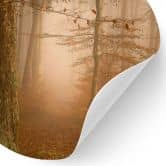Wandtattoo Dunst und Licht im herbstlichen Wald - Maier - Rund 