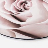 Alu-Dibond 1X Studio - Edelrose - Rund 