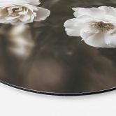 Alu-Dibond Annie - Louise Bugnet - Rund 