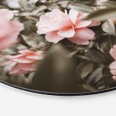 Alu-Dibond Annie - Rosenblüte - Rund 