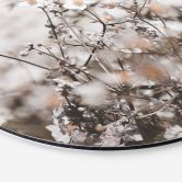 Alu-Dibond Annie - Wildblumen - Rund 