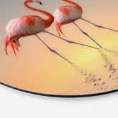 Wandbild Cseresnjes - Flamingos im Abendlicht - Alu-Dibond Rund 