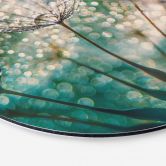 Tableau sur alu-Dibond Delgado - Pissenlit scintillant - Rond 