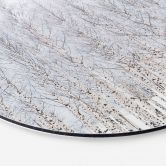 Wandbild Birkenwald im Winter - EMELIEmaria - Alu-Dibond Rund 