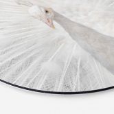 Alu-Dibond Fegari - Weißer Pfau - Rund 