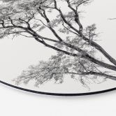 Wandbild Minimalistischer Baum in ruhiger Landschaft - Flour - Alu-Dibond Rund 
