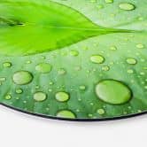 Alu-Dibond Foto - Herz aus Wassertropfen auf grünem Blatt - Rund 