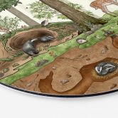 Wandbild Wimmelbild Waldtiere - Kikki Belle - Alu-Dibond Rund 