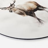 Wandbild Hirsch im weißen Winter - Magnusson - Alu-Dibond Rund 