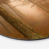 Wandbild Dunst und Licht im herbstlichen Wald - Maier - Alu-Dibond Rund 