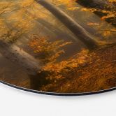 Wandbild Goldene Blätter im nebligen Wald - Maier - Alu-Dibond Rund 