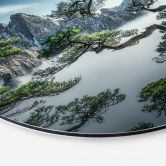 Wandbild Kiefernwald im Huang Shan Gebirge - NingYun Ye - Alu-Dibond Rund 