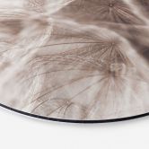 Alu-Dibond Pusteblume Close Up - Rund 