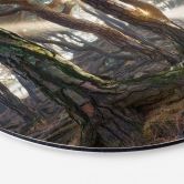 Wandbild Heiliger Kiefernwald - Ryu - Alu-Dibond - Rund 