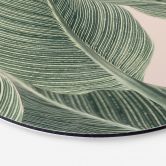 Alu-Dibond Calathea Pflanze - Sisi & Seb - Rund 