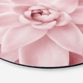 Alu-Dibond Sisi & Seb - Rosa Sukkulente - Rund 