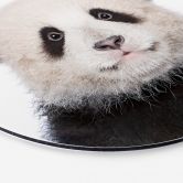 Alu-Dibond Sisi & Seb - Baby Panda - Rund 