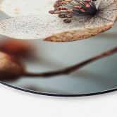 Wandbild Boho Trockenblume Makro - Treechild - Alu-Dibond Rund 