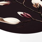 Wandbild Edle Magnolienblüten - Alu-Dibond Rund - Treechild 