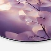 Wandbild Zarte Orchidee in Lila - Treechild - Alu-Dibond Rund 