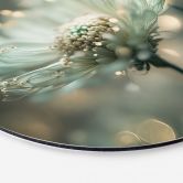 Wandbild Zartes Funkeln der Blüten - Treechild - Alu-Dibond Rund 
