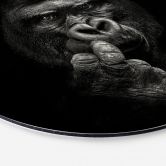 Alu-Dibond Meermann - Der Gorilla - Rund 