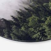Alu-Dibond Nebliger Wald - Rund 
