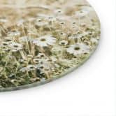 Glasbild Sommerwiese mit Kamille - Annie - Rund 