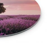 Glasbild Lila Lavendelfelder bei Sonnenuntergang - Cevik - Rund 