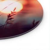Glasbild Gräser im Licht der glühenden Sonne - Treechild - Rund 