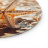 Glasbild Muscheln am sonnigen Strand - Treechild - Rund 