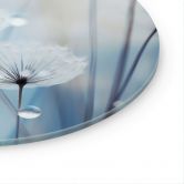 Glasbild Tauperlen auf Pusteblumen - Treechild - Rund 