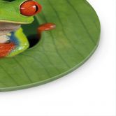 Glasbild Laubfrosch im Regenwald - van Duijn - Rund  