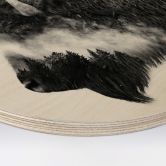 Holzbild Angyalosi - Bison - Rund 
