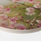 Holzbild Cherry Blossoms - Rund 