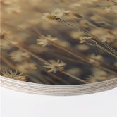 Tableau sur bois Mexican Daisy - Rond 