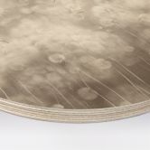 Holzbild Pusteblumen Traum in Beige - Ms Tiff - Rund 