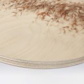 Holzbild Pampasgras - Rund 