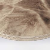 Holzbild Pusteblume Close Up - Rund 