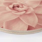 Tableau sur bois rond Sisi & Seb - Succulente rose 