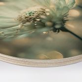 Tableau sur bois Délicat scintillement des fleurs - Treechild - Rond 