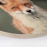 Wandcirkel Hout van Duijn - Fox Eyes 
