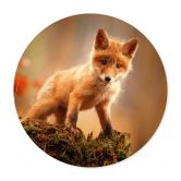 Poster Adamec - Junger Fuchs im Wald - Rund 