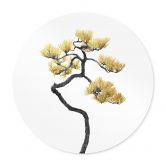 Poster Bonsai in Balance - Amini - Rund 